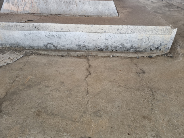 LSJ20250328_000050.jpg